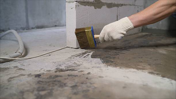 24/7 Emergency Crawl Space Encapsulation experts in Lake Forest, IL
